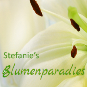 Logo Stefanie's Blumenparadies