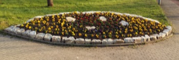 Blumenschmuck in Schlangen am Kreisel