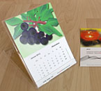 schön gestaltete Tischkalender 