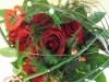 Sag´s mit roten Rosen aus dem Jessener Blumeneck