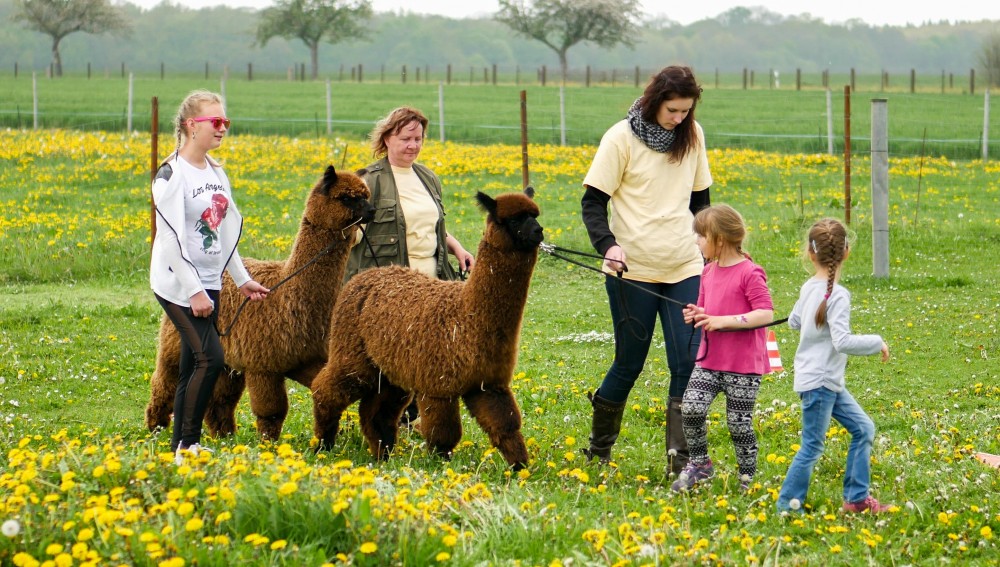 AlpakaJubiläumshoffest 6.Mai 2017 Nachlese