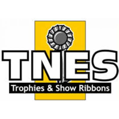 logo TNES Showribbons