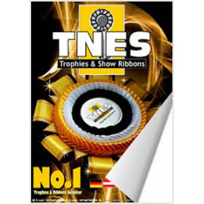 TNES Trophies & Show Ribbons 2 Hemmo Schuhe und Lederwaren Lederhandschuhe