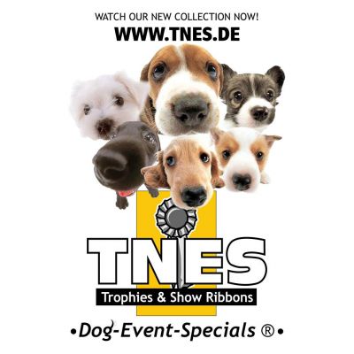 TNES Trophies & Show Ribbons Hemmo Schuhe und Lederwaren Lederhandschuhe