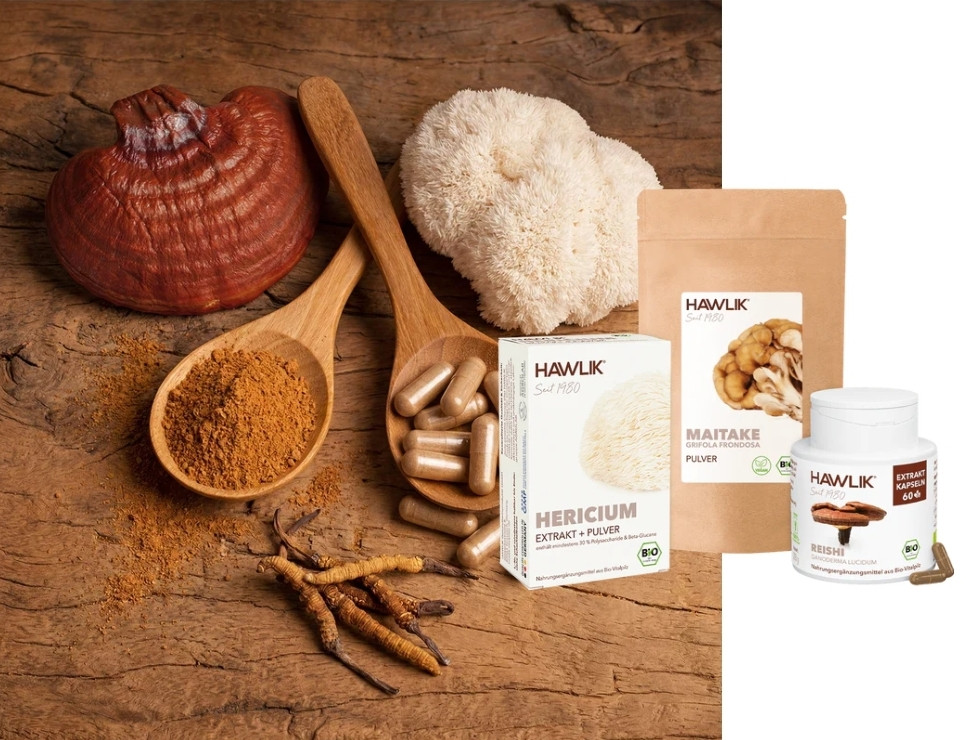 Heilpilze als Naturheilkraft
