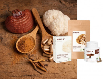 Heilpilze als Naturheilkraft